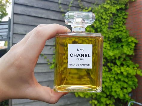 fragrances smell similar to chanel no 5|Chanel no 5 knockoff.